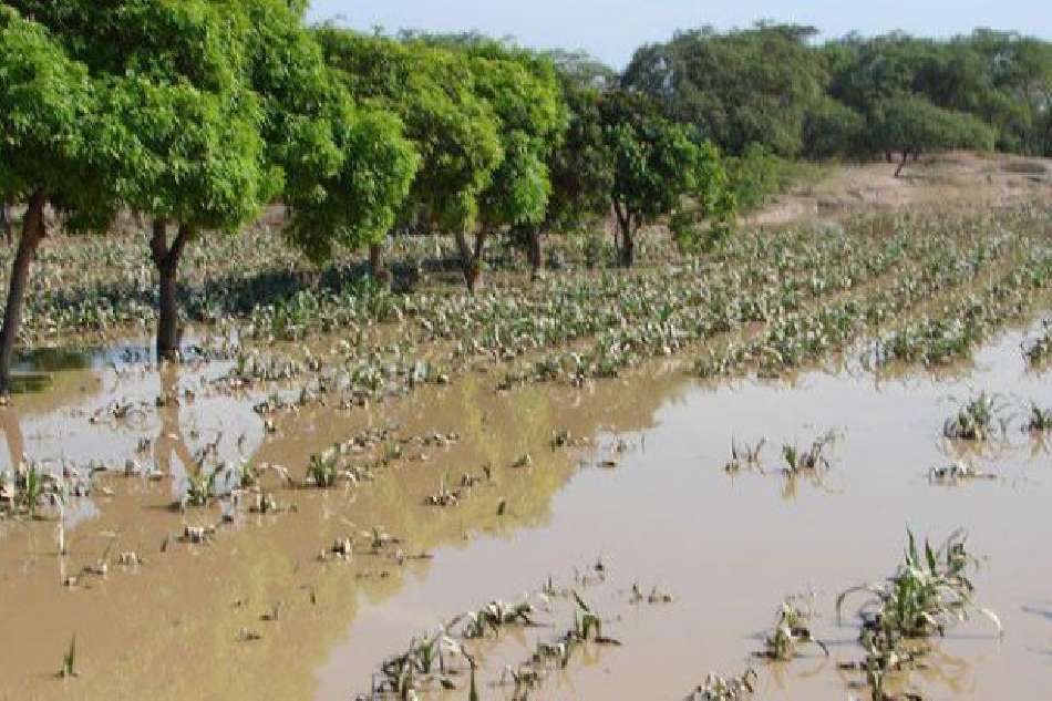 Análisis del riesgo de inundación en Motilla del Palancar (Cuenca, España)